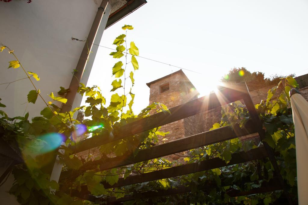 Gasthof Zum Goldenen Anker Hainburg an der Donau Luaran gambar